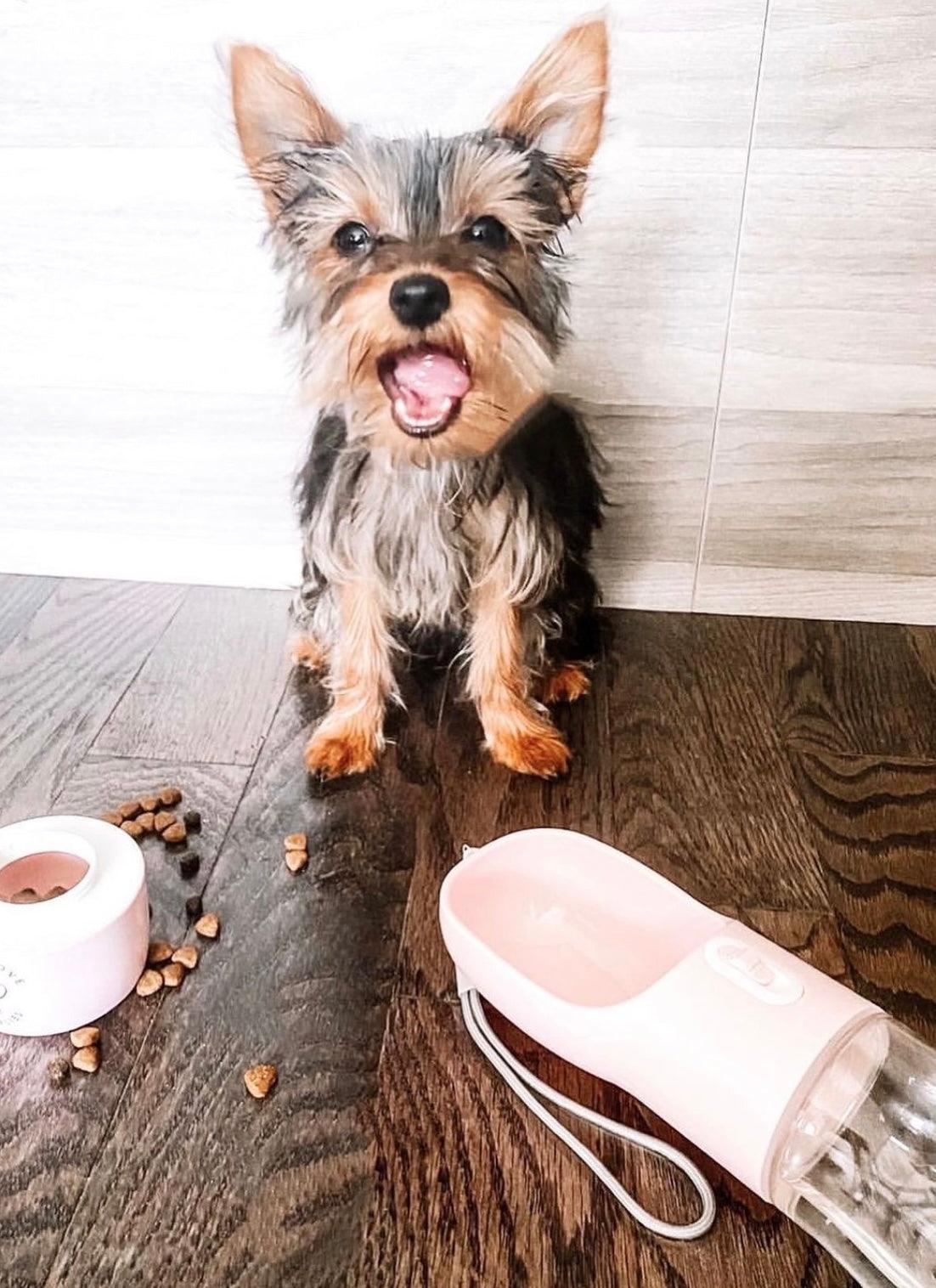 2-in-1 Portable Pet Feeder – Pink