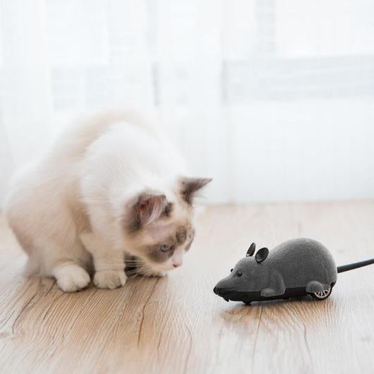 Remote Control Mouse Cat Toy – The Ultimate Hunter’s Prey