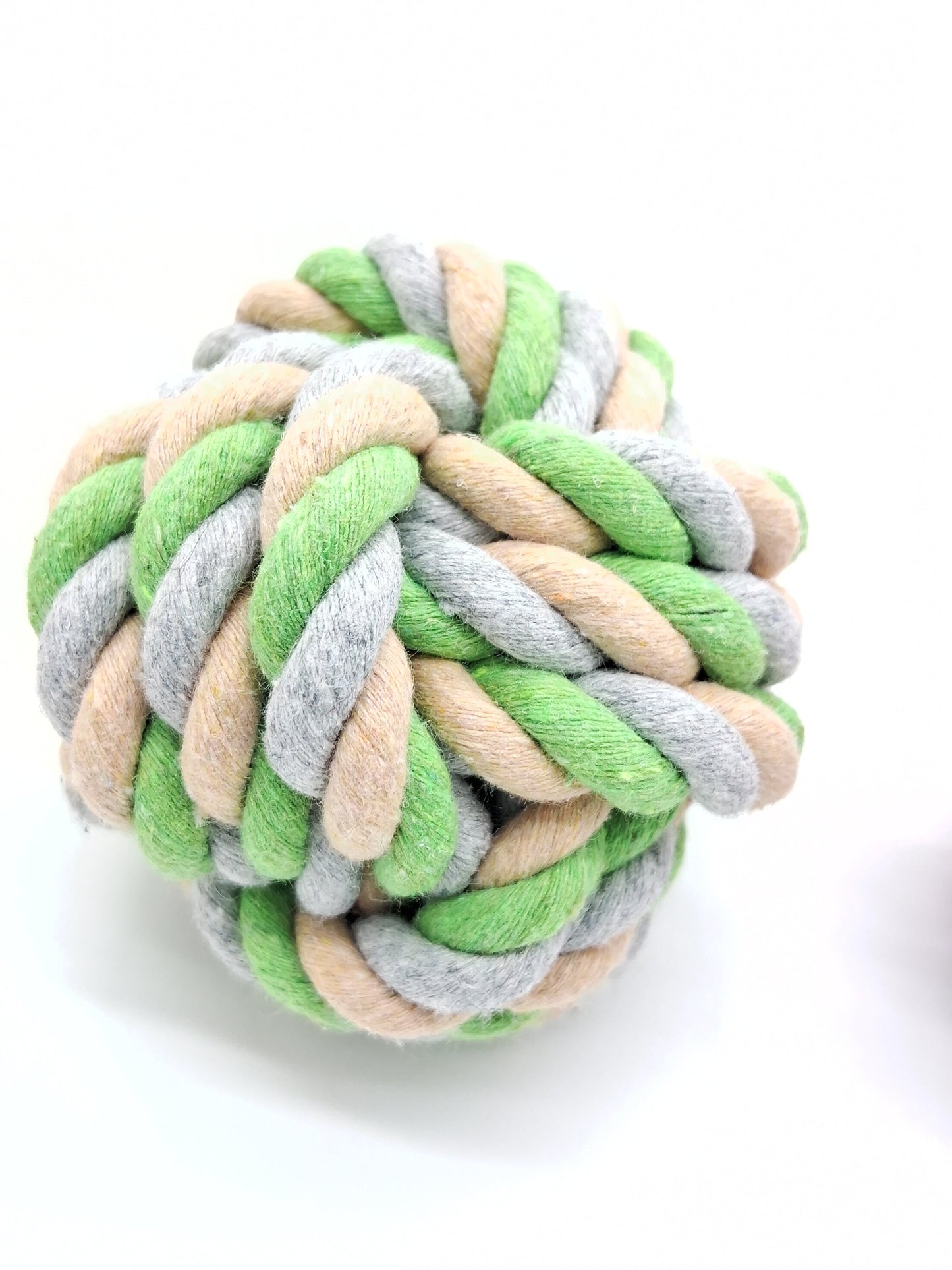 Fetch Ball – The Classic That Never Gets Old