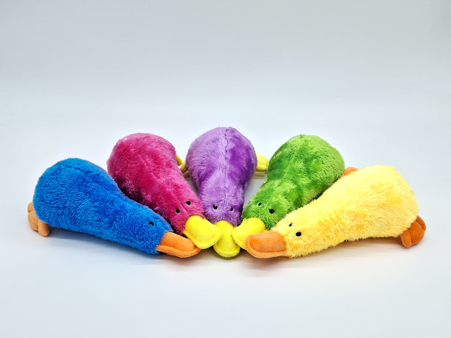 Platz the Platypus – The Quirky Companion Your Pet Will Obsess Over