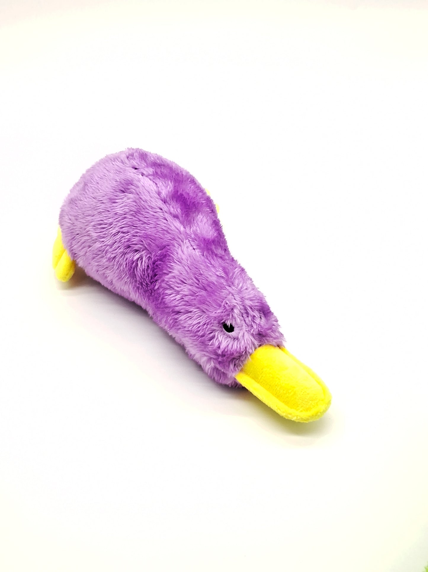 Platz the Platypus – The Quirky Companion Your Pet Will Obsess Over