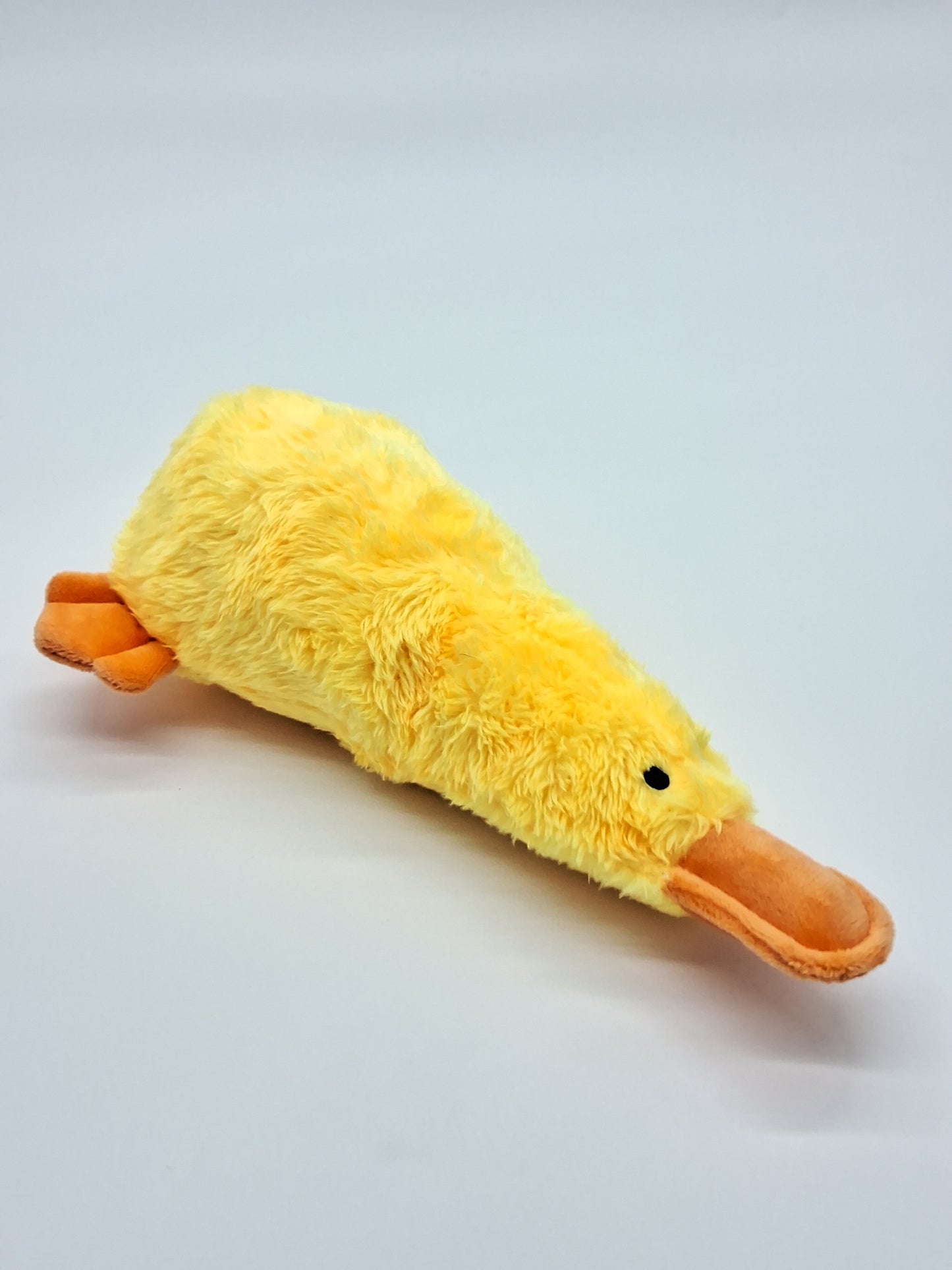 Platz the Platypus – The Quirky Companion Your Pet Will Obsess Over