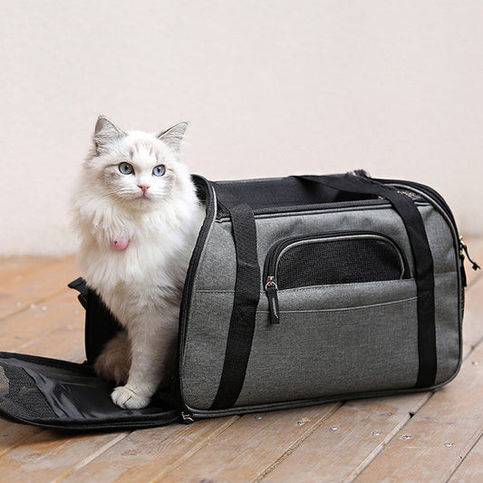 Pet Carriers & Bags – Travel in Style, Together