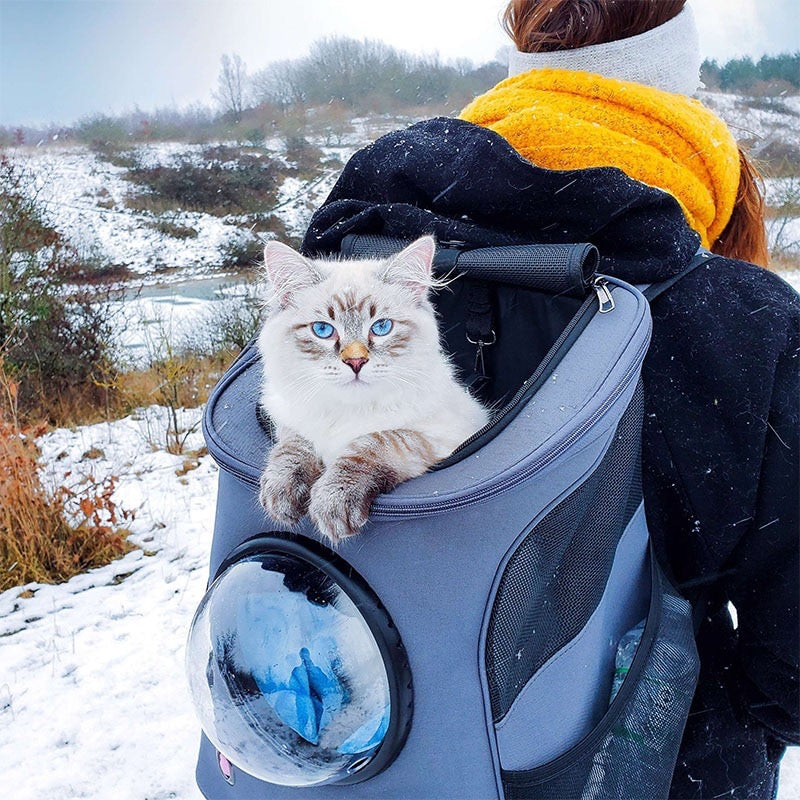 Cats and Dogs Backpack – Adventure Together, Always
