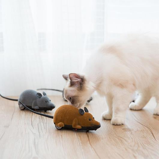 Remote Control Mouse Cat Toy – The Ultimate Hunter’s Prey