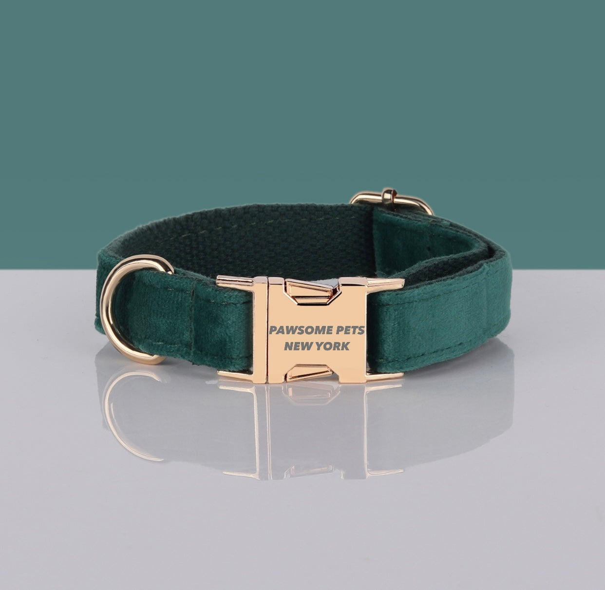 Pawsome Dog Collar – #25