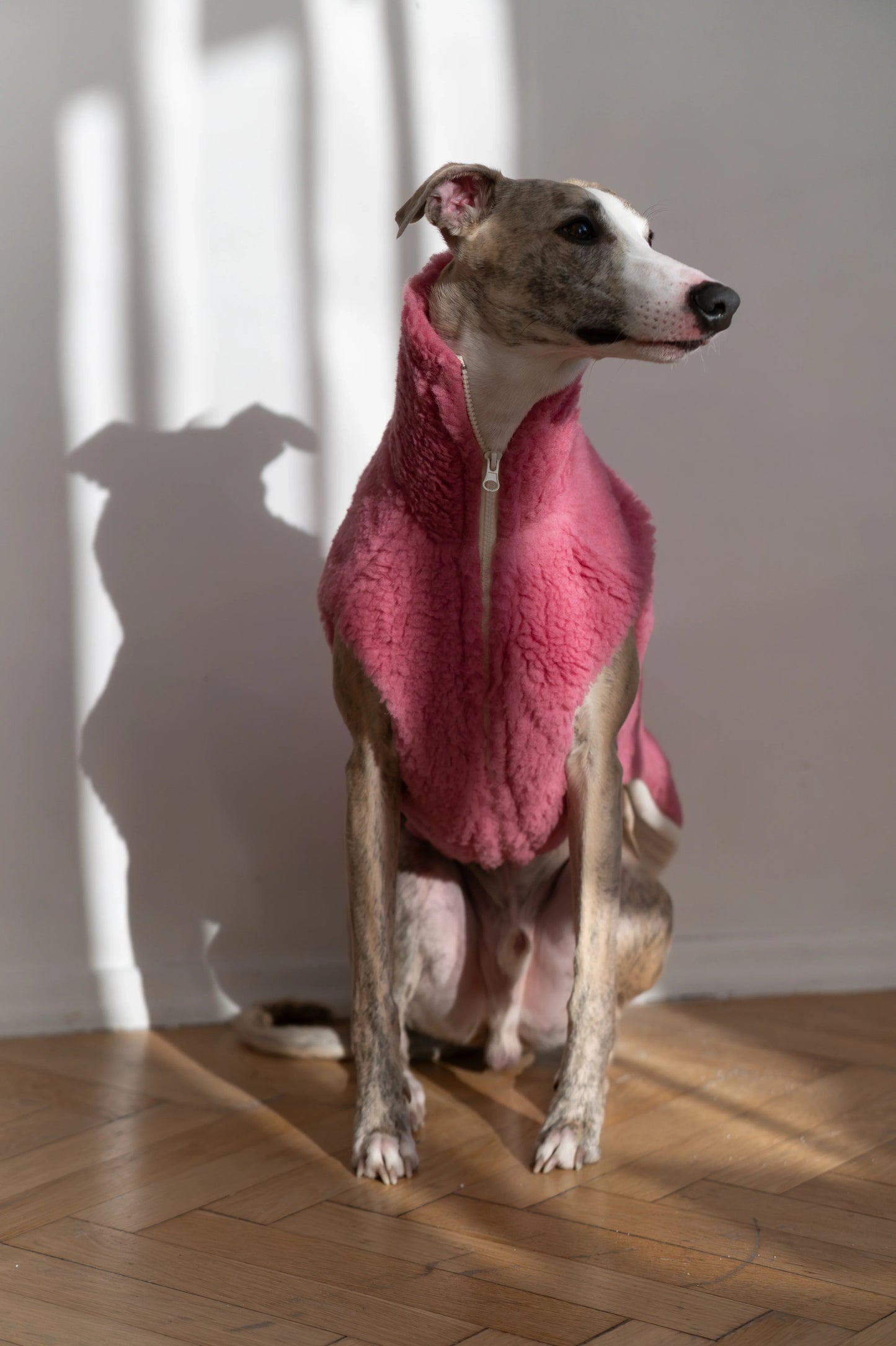 Gilet en laine pour chien - Rose