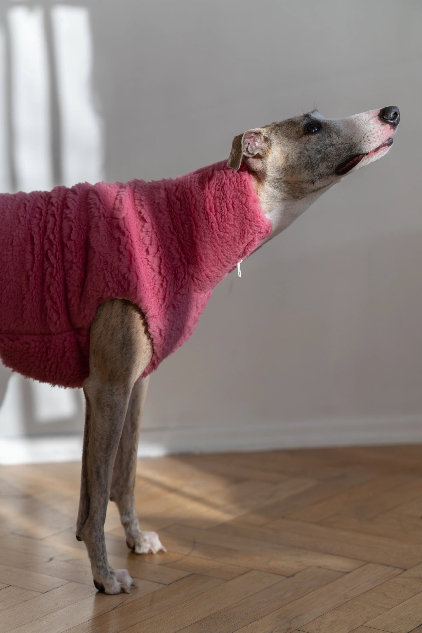 Gilet en laine pour chien - Rose