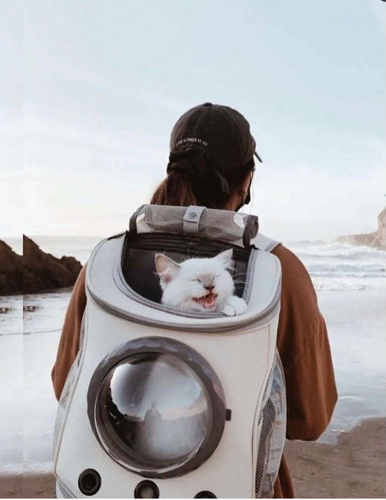 Cats and Dogs Backpack – Adventure Together, Always