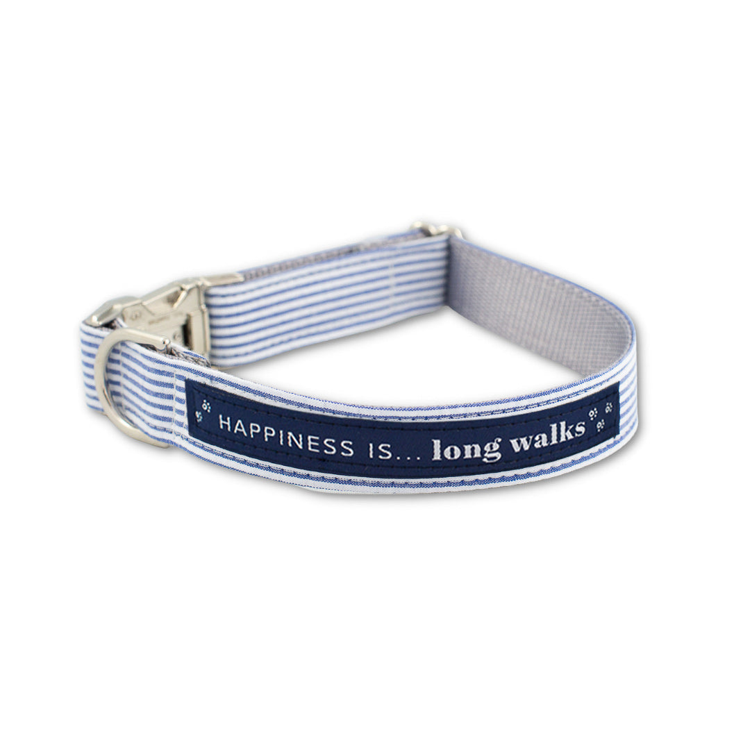 Collier de chien à rayures bleues pour longues promenades