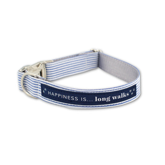 Collier de chien à rayures bleues pour longues promenades