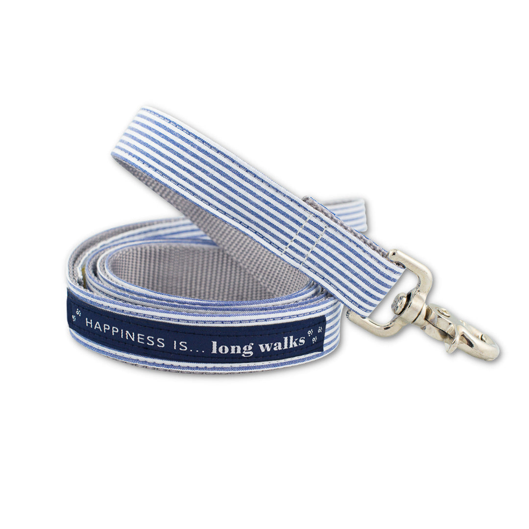 Laisse bleue à rayures pour longues promenades de chien