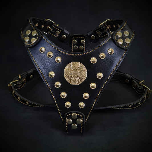 The "Maximus" harness Black & Gold Small to Medium Size