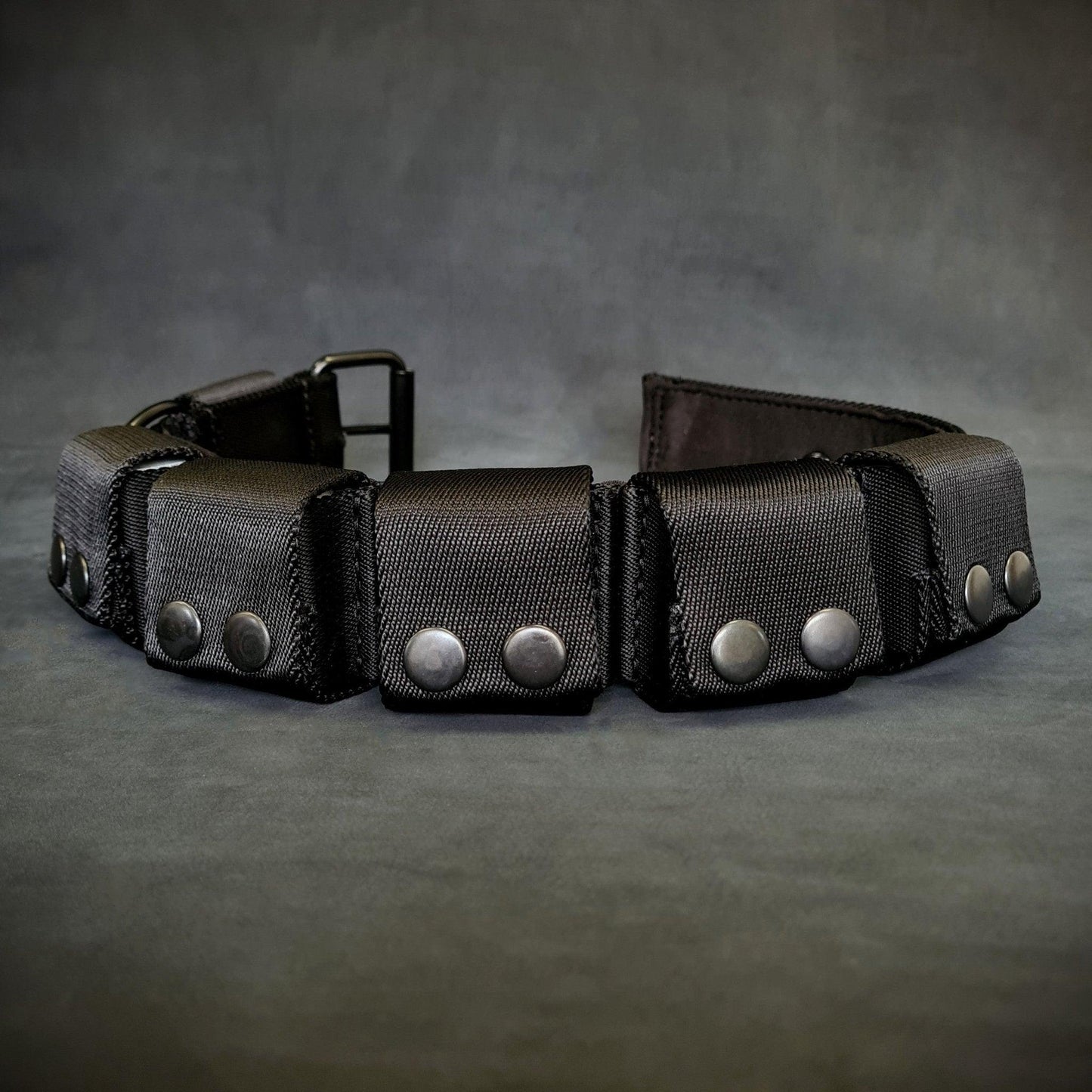 Weighted dog training collar. Large breeds. 5 lbs total. Removable weights.
