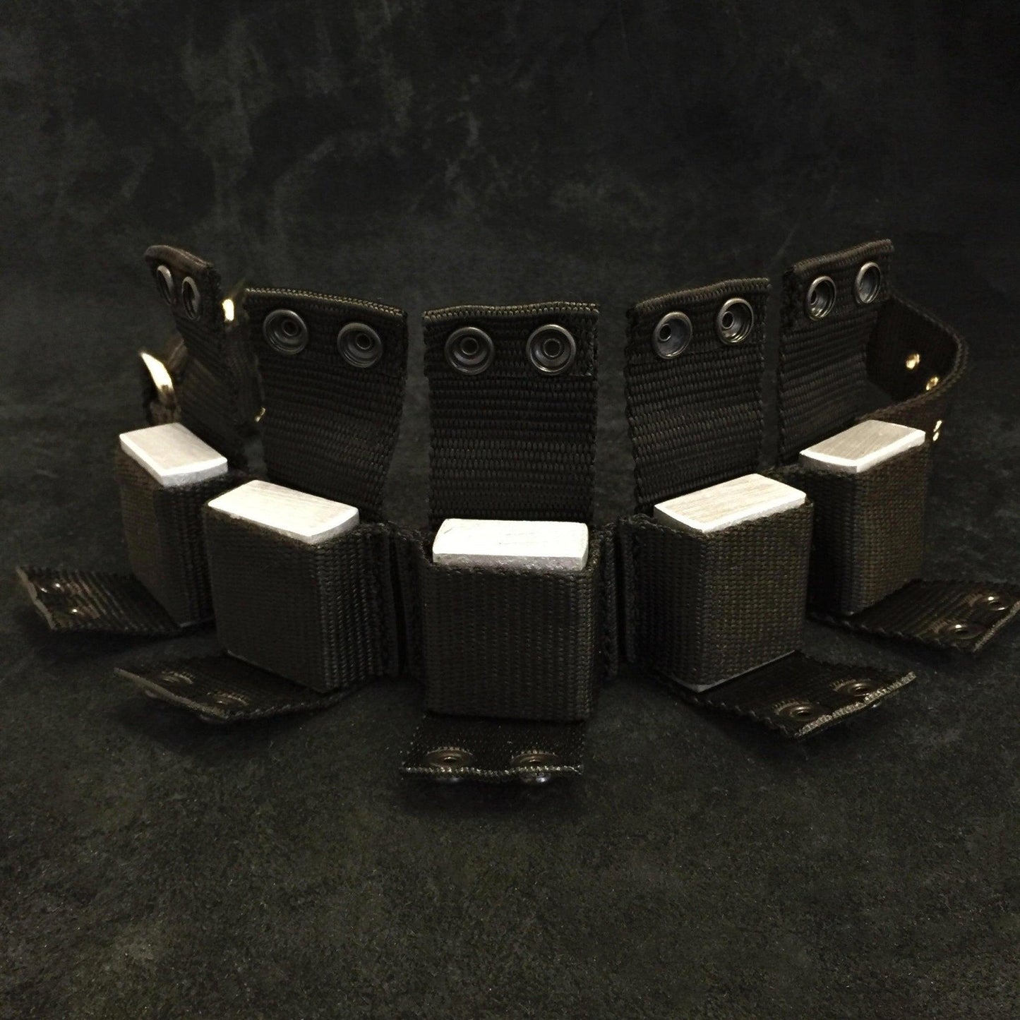 Weighted dog training collar. Large breeds. 5 lbs total. Removable weights.